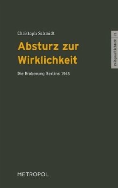 Absturz zur Wirklichkeit - Schmidt, Christoph