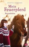 Sturmfohlen / Mein Feuerpferd Bd.2