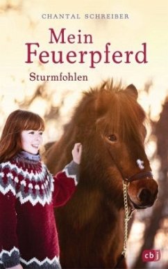 Sturmfohlen / Mein Feuerpferd Bd.2 - Schreiber, Chantal