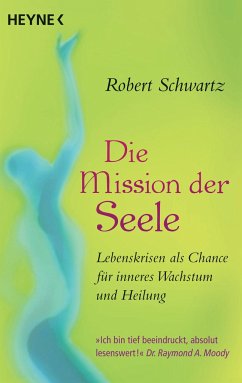 Die Mission der Seele - Schwartz, Robert