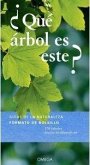 ¿Qué arbol es este?