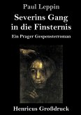 Severins Gang in die Finsternis (Großdruck)