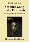 Severins Gang in die Finsternis (Großdruck)