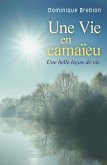 Une Vie en camaieu (eBook, ePUB)
