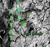 H a Y a T (eBook, ePUB)