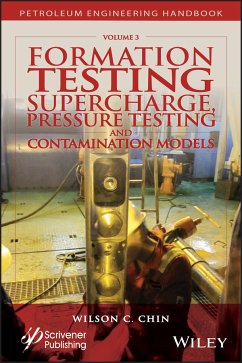 Formation Testing (eBook, PDF) - Chin, Wilson