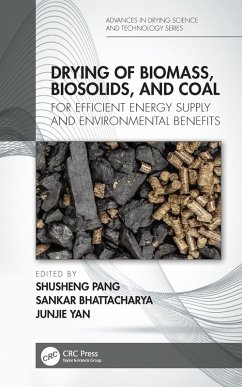 Drying of Biomass, Biosolids, and Coal (eBook, PDF)