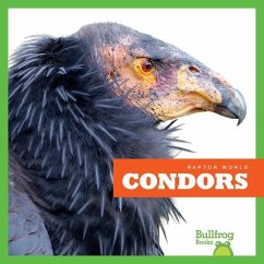 Condors - Lee Gleisner, Jenna