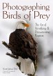 Photographing Birds of Prey - Bild 1