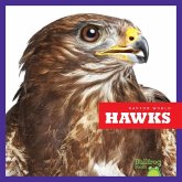 Hawks