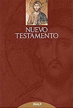 Nuevo Testamento (eBook, ePUB) - Autores, Varios