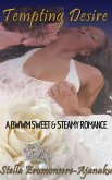 Tempting Desire ~ A BWWM Sweet & Steamy Romance (eBook, ePUB)