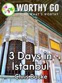 3 Days in Istanbul (eBook, ePUB)
