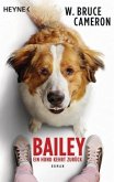 Bailey - Ein Hund kehrt zurück