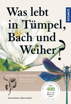 Was lebt in Tümpel, Bach und Weiher? - Engelhardt, Wolfgang;Martin, Peter;Rehfeld, Klaus
