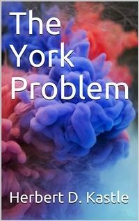 Cover The York Problem (eBook, PDF)