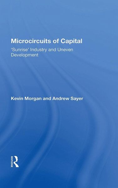 Microcircuits of Capital (eBook, ePUB)