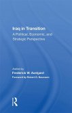 Iraq In Transition (eBook, PDF)