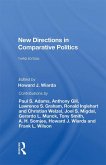 New Directions In Comparative Politics, Third Edition (eBook, PDF)