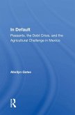 In Default (eBook, ePUB)