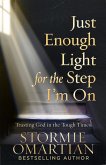 Just Enough Light for the Step I'm On (eBook, ePUB)