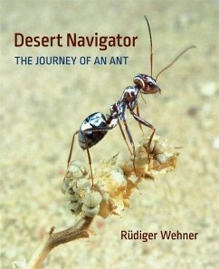 Desert Navigator - Wehner, Rudiger