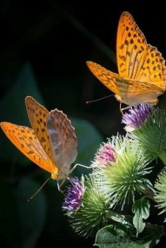 Silver Bordered Fritillaries: The Silver-Bordered Fritillary Gets Its Name from Its Very Distinctive Light-Colored Border. - Journals, Planners And