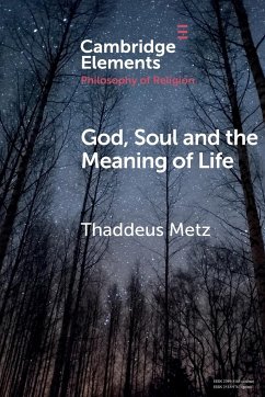 God, Soul and the Meaning of Life - Metz, Thaddeus