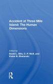 Accident At Three Mile Island (eBook, PDF)