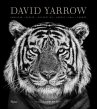 David Yarrow Photography - Bild 1