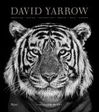 David Yarrow Photography: Americas Africa Antarctica Arctic Asia Europe