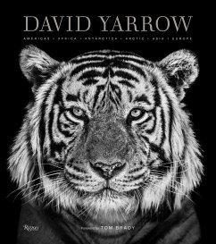 David Yarrow Photography - Yarrow, David