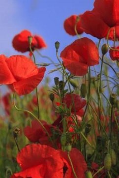 Poppy Meadow: Poppies Are Found Around the Globe from Icy Cold Tundra to Broiling Hot Deserts, Mostly in the Northern Hemisphere. - Journals, Planners And