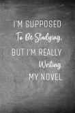 I'm Supposed to Be Studying, But I'm Really Writing My Novel: Chalkboard Workbook and Notebook for Aspiring Writers to Plan their Next Novel