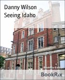 Seeing Idaho (eBook, ePUB)