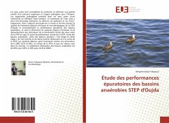 Étude des performances épuratoires des bassins anaérobies STEP d'Oujda - Idrissi Yahyaoui, Meryem