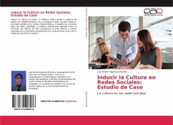 Inducir la Cultura en Redes Sociales: Estudio de Caso - Figueroa Chonillo, Luis Emilio