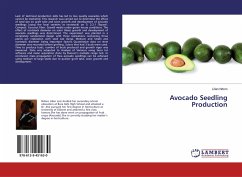 Avocado Seedling Production - Ndoro, Lilian