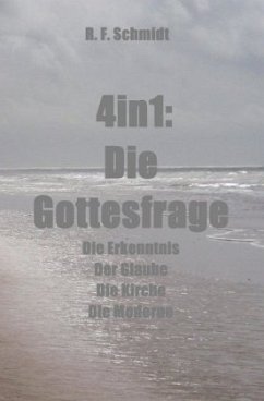 4in1: Die Gottesfrage - Schmidt, R. F.