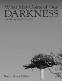 What May Come of Our Darkness: A Series of Short Stories (eBook, ePUB)