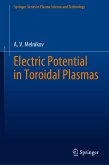 Electric Potential in Toroidal Plasmas (eBook, PDF)