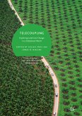 Telecoupling (eBook, PDF)
