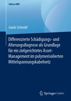 Differenzierte Schädigungs- und Alterungsdiagnose als Grundlage für ein zielgerichtetes Asset-Management im polymerisolierten Mittelspannungskabelnetz (eBook, PDF) - Schmidt, Guido