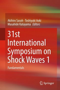 31st International Symposium on Shock Waves 1 (eBook, PDF)