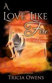 A Love Like Fire: High Fantasy M/M Romance