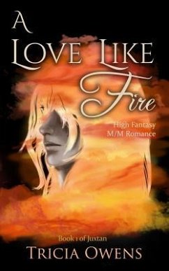 A Love Like Fire: High Fantasy M/M Romance - Owens, Tricia