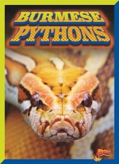 Burmese Pythons - Ciletti, Barbara