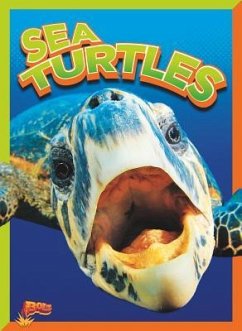 Sea Turtles - Terp, Gail