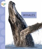 Whales