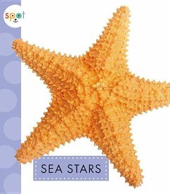 Sea Stars - Schuh, Mari C